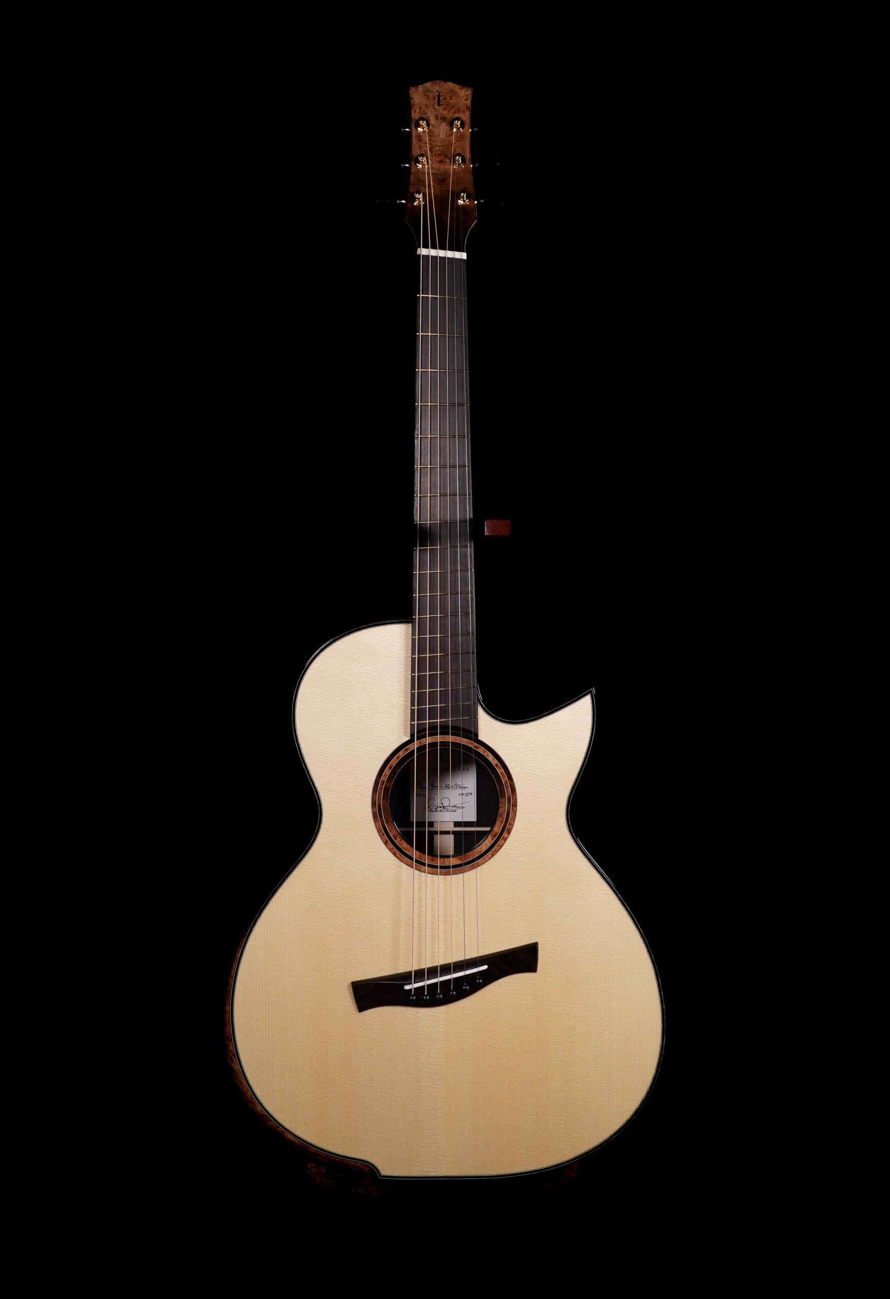 【南】ASTURIAS Herringbone concert BLACK Solo Herringbone - ASTURIAS